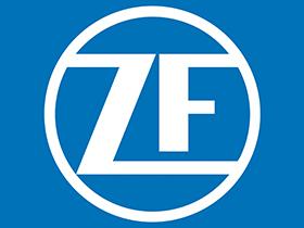 SUBFAMILIA DE ZF  ZF